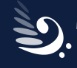 The Phoenix Symphony