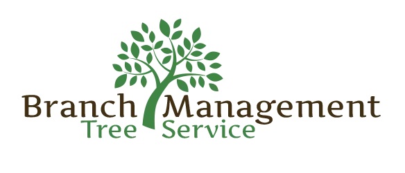 Branch Management Tree Services